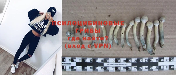 jwh Инсар