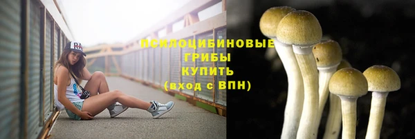 jwh Инсар