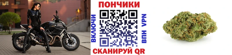 Конопля OG Kush  Купить где  Усолье 
